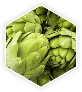 ProstaVive - Ingredients - Artichoke Extract 24,25