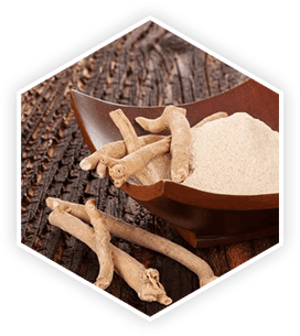 ProstaVive - Ingredients - Ashwagandha 13,14