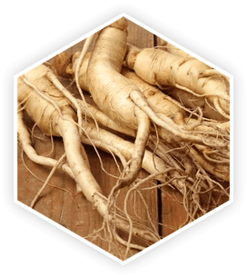 ProstaVive - Ingredients - Panax Ginseng 20,21